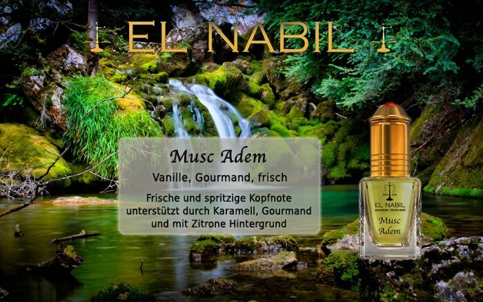 Musc Adem 5ml Parfüm - El-Nabil